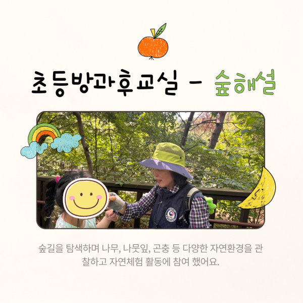 bcf40e1189bd33f19e4e9ae1ea4e4517_1780382897_3986.png